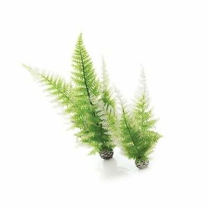 BiOrb Winter Fern Plant Pack, Medium